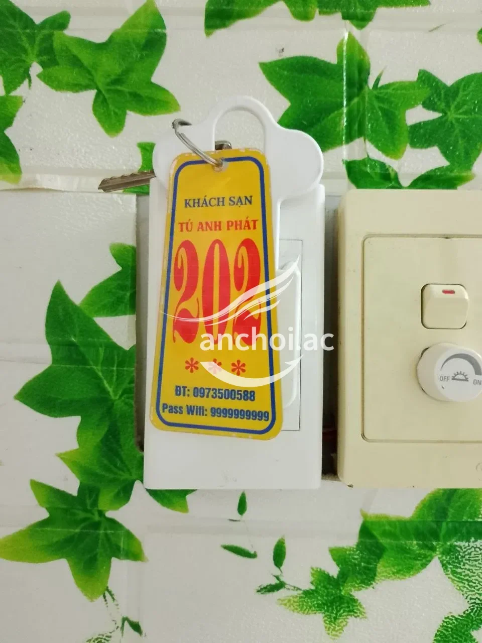 Ảnh checker Hunglong chụp khi gặp THÁI THUỲ LINH GYMER BODY CỰC GỢI DỤC (ảnh 3/3)