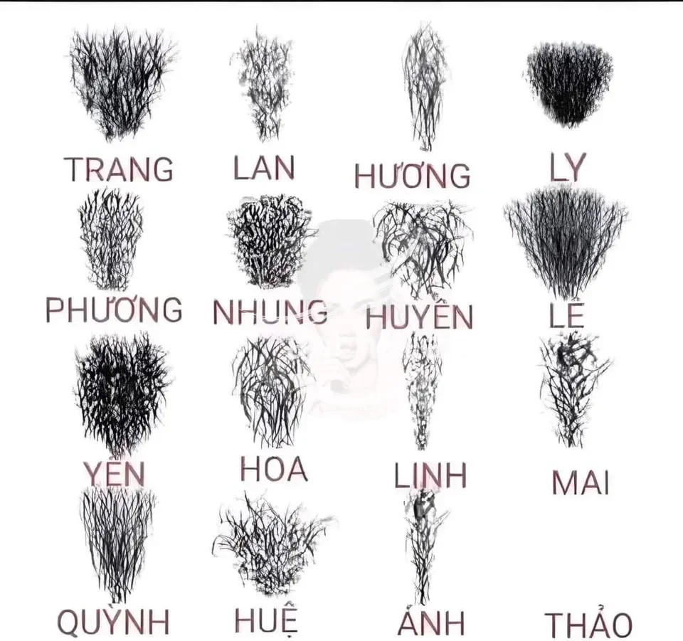 CuDangSung