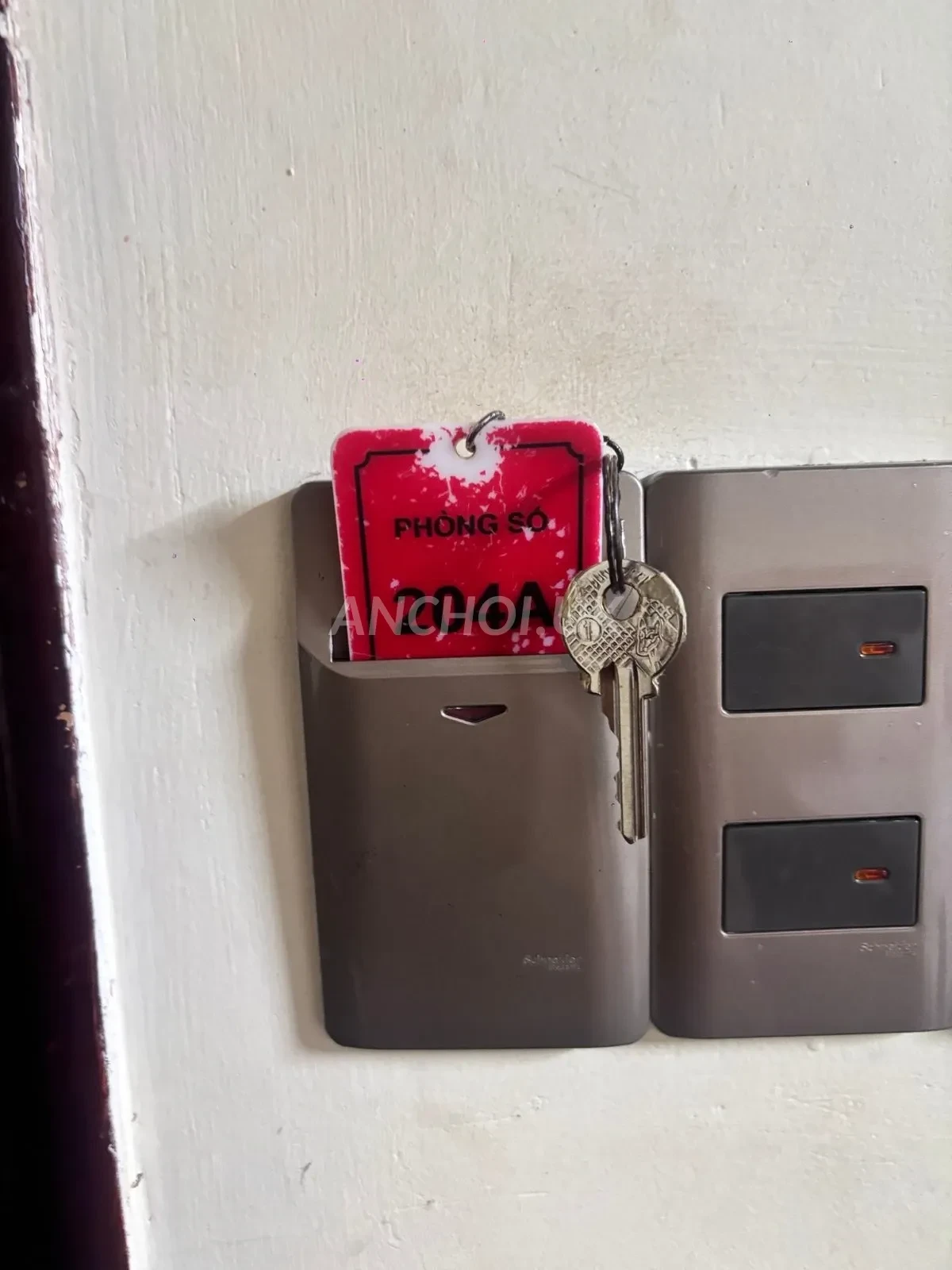 Ảnh checker Đặng Thanh Liêm chụp khi gặp NGỌC MIN - DỄ THƯƠNG TƯƠI TẮN, TÌNH YÊU CỦA MỌI NHÀ (ảnh 2/3)